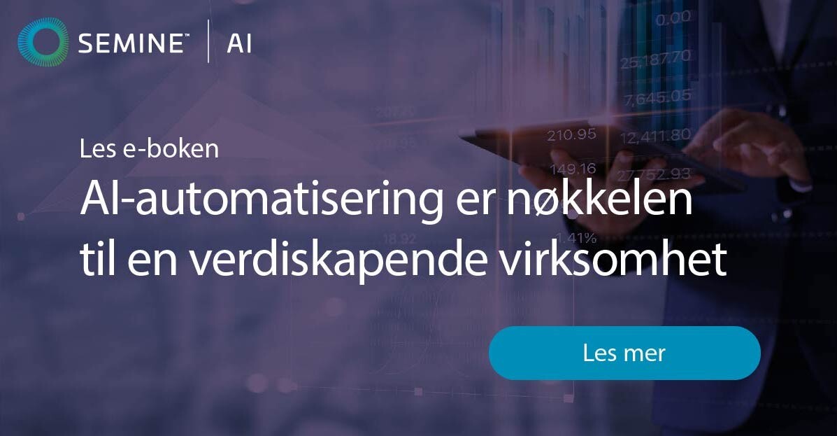 Semine-accounting-ebok